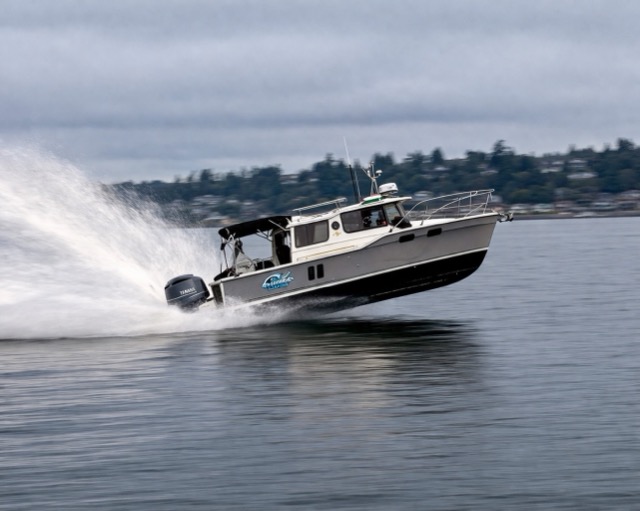 0FBED618-3A77-4B11-8EB5-AE5D30F3344FChannelSurfingWheelie Medium.jpeg