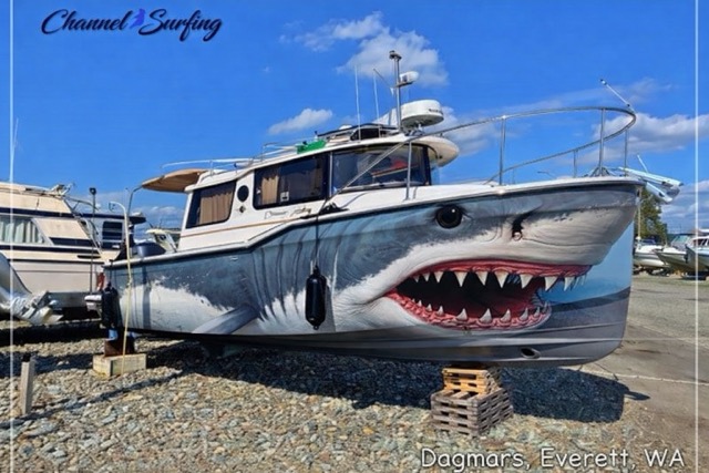 68D1919F-CE8B-4155-A5E0-B9DCD25DEF82Jaws Medium.jpeg