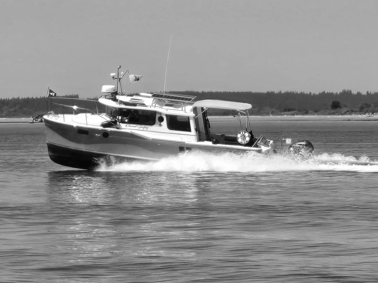 IMG_8226.JPG