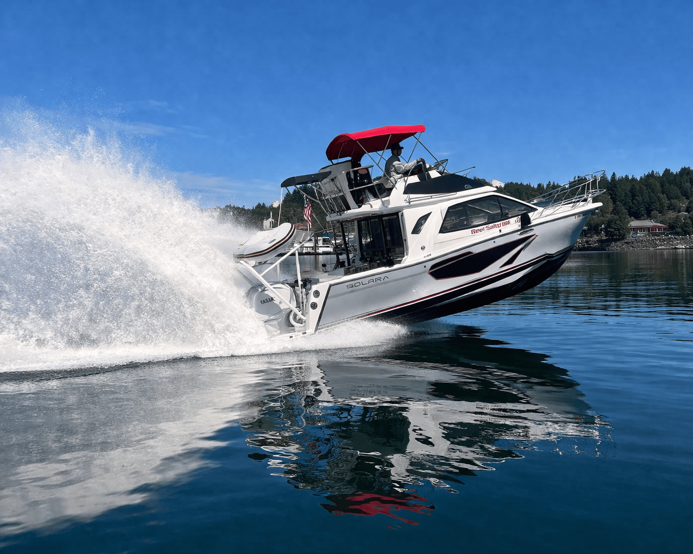 SB310Wheelie (1).png