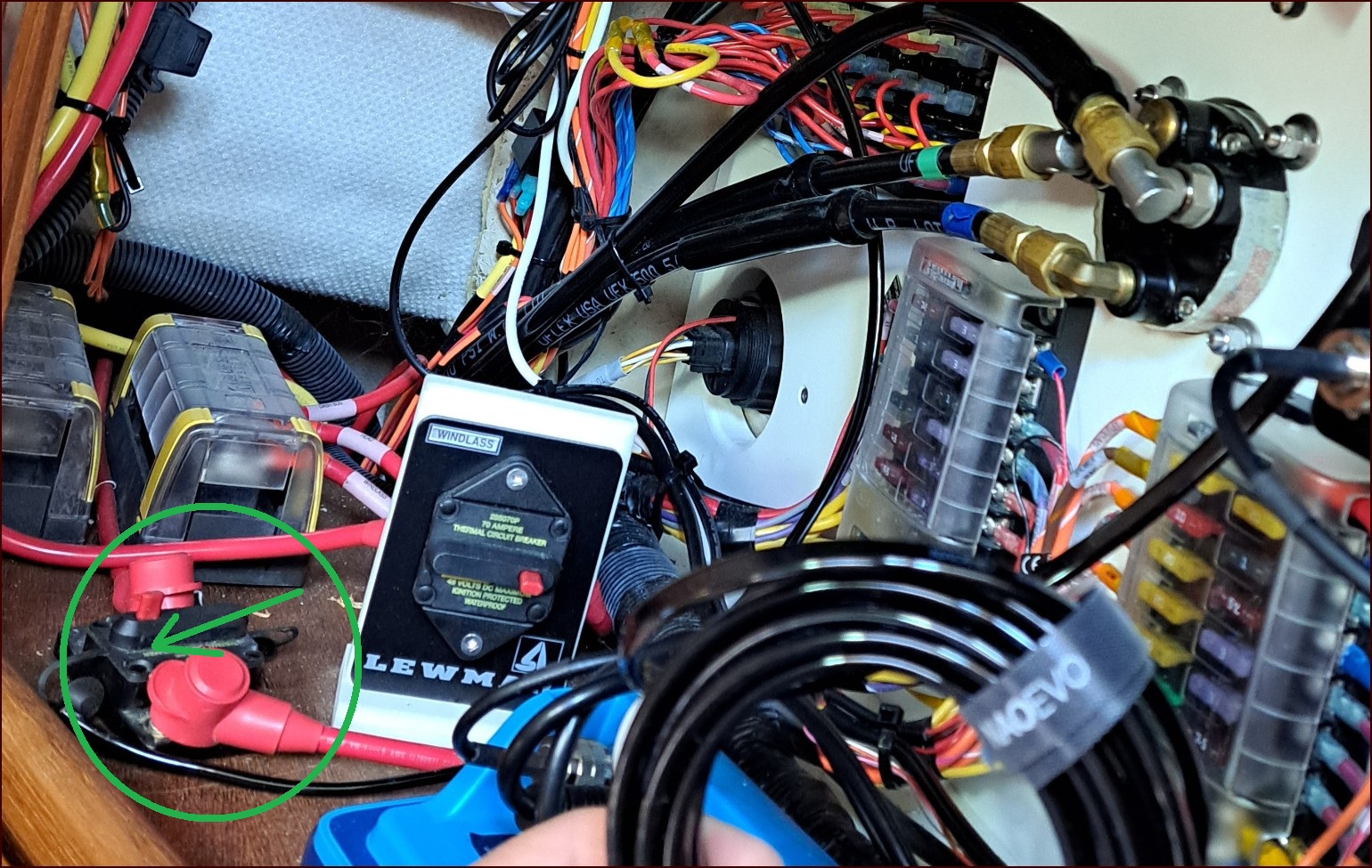 Screenshot 2025-06-06 174016.jpg