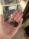 IMG_6962.jpeg