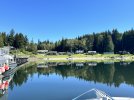 IMG_6373.jpeg