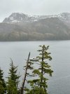 IMG_9090.jpeg