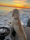 IMG_0774.jpg