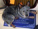 IMG_3890.jpeg