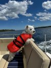 Bonnie Boat Lifejacket.jpeg
