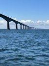 IMG_7936.jpeg