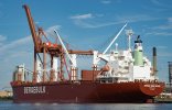 Bulk Freighter.jpg