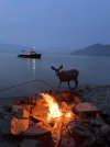 IMG_8051.jpeg