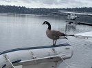 IMG_7396.jpeg