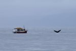 IMG_6171 (3).jpeg