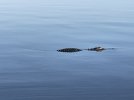 IMG_0877.JPG