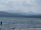 Lake_Champlain_Adirondacks.jpg