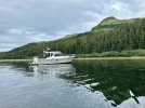 IMG_0236.jpeg