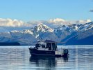 IMG_4585.jpeg
