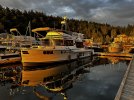 IMG_3915.jpeg