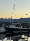 IMG_8006.jpeg