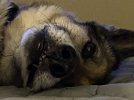 IMG_8789.jpeg