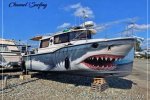 68D1919F-CE8B-4155-A5E0-B9DCD25DEF82Jaws Medium.jpeg