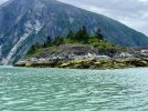 IMG_5014.jpeg