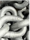 IMG_9838.jpeg