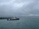 IMG_3336.jpeg