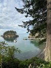 IMG_2546.jpeg