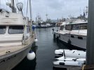 IMG_5364.jpeg