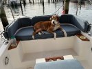 McQueen on boat.jpg