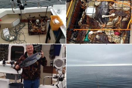 Swims with Tuna-Fishing