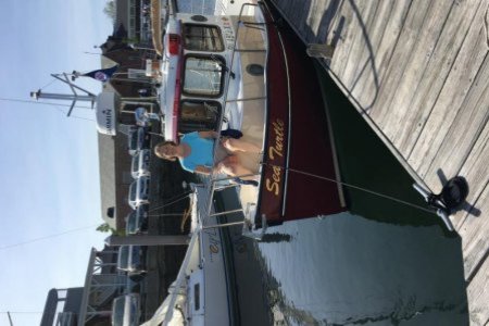 Sea Turtle 2017 Trips