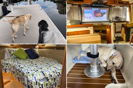 Ruff Seas