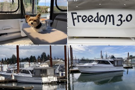 Freedom 3.0