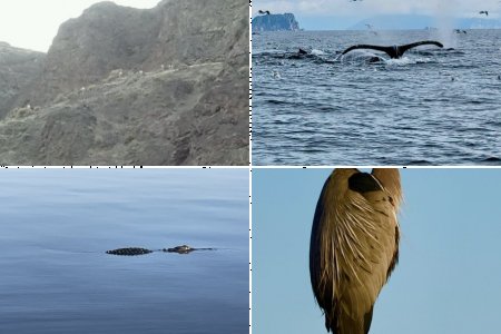 April 2025 Photo Contest