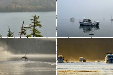 February 2026 Photo Contest