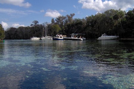 Media 'captd on January 12, 2008, 10:02 am' in album 'St Johns River trip'