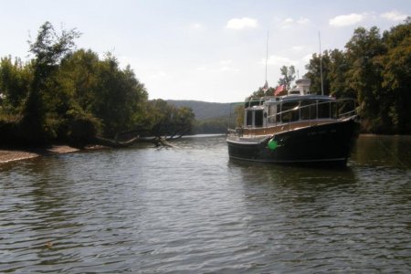 More Anchoring Opportunities