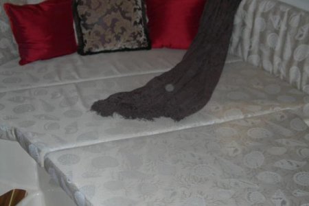 house pics 067