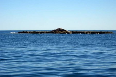 Rock off Isla Carmen