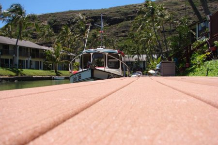 Dockside gecko eye view