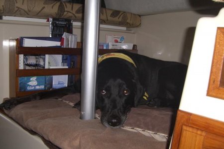 20A  Mascot berth