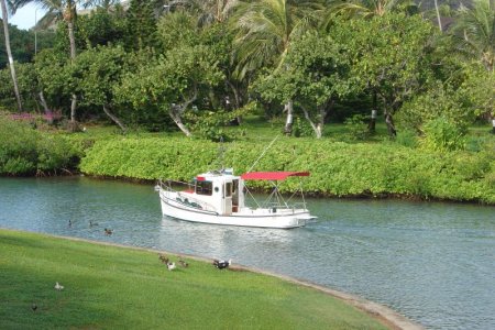 Rounding Duck Island