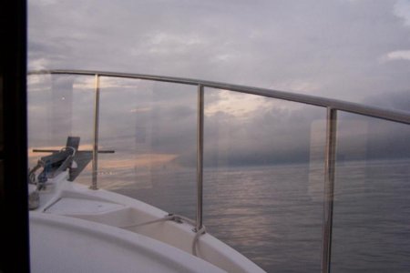 vaca 2009 006