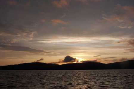 vaca 2009 027