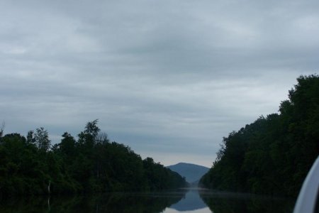 vaca 2009 229