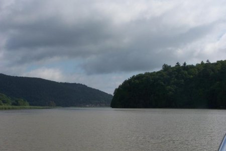 vaca 2009 261
