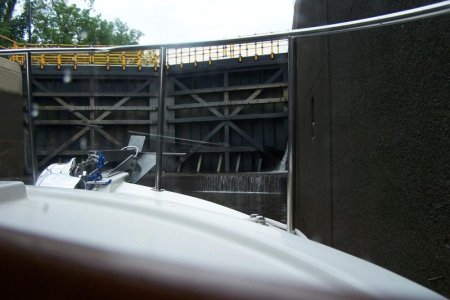 vaca 2009 209
