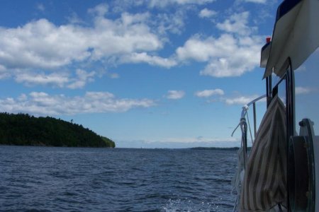 vaca 2009 299