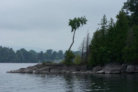 vaca 2009 324